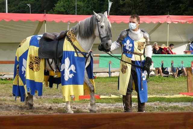 带来新一轮 带来新一轮