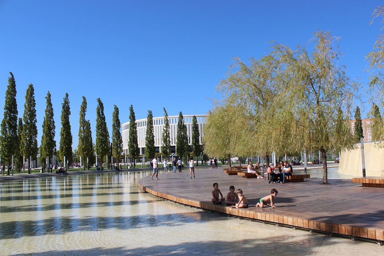 追逐事业的 追逐事业的