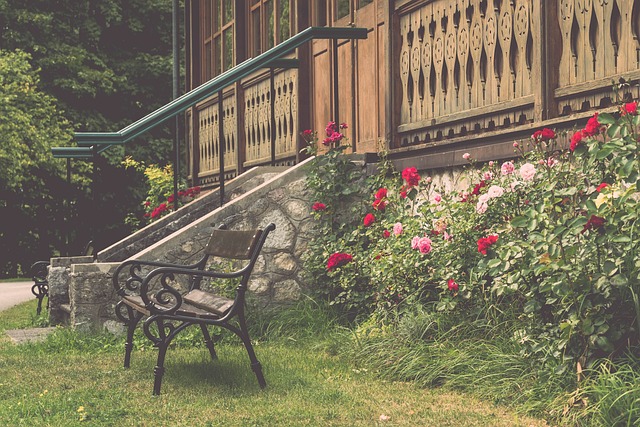 不论是打球 不论是打球