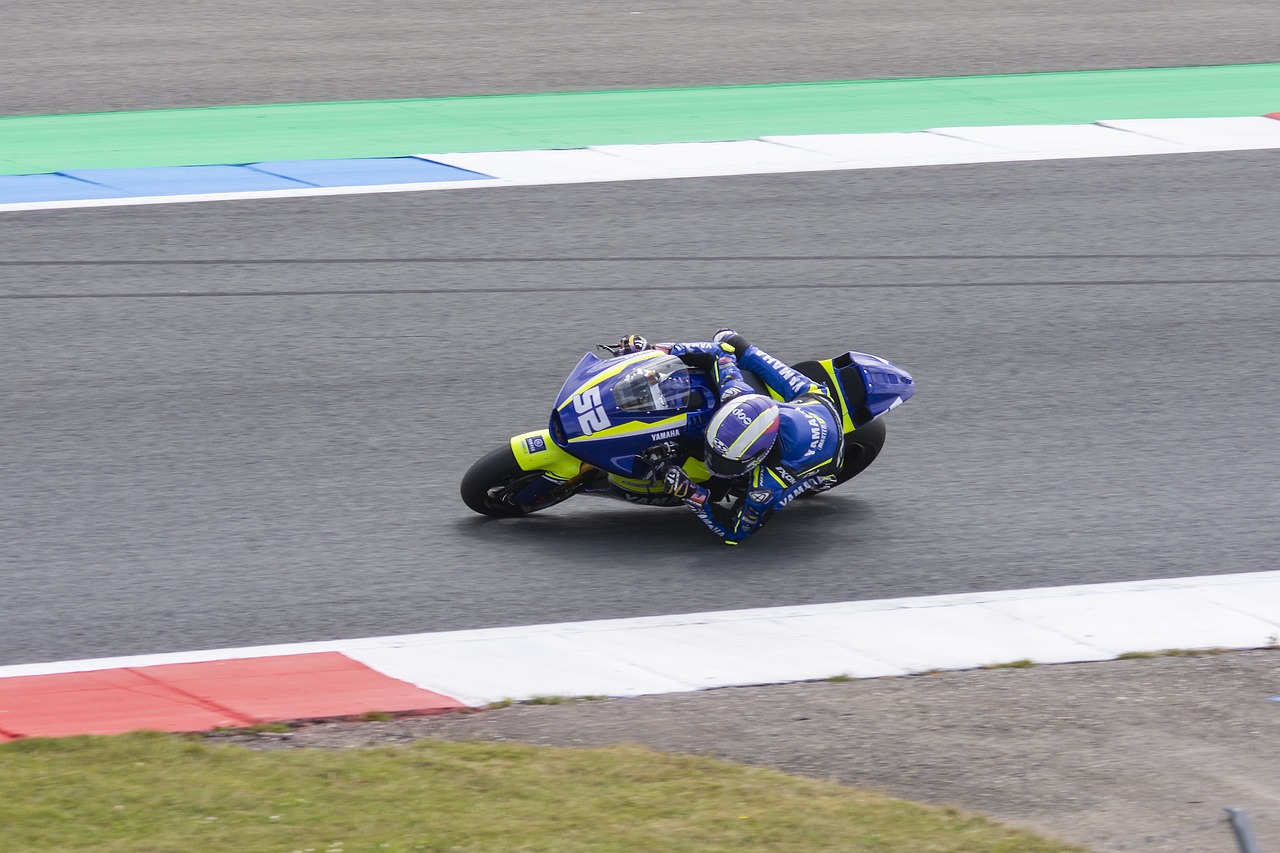 伍贏得多座 伍贏得多座